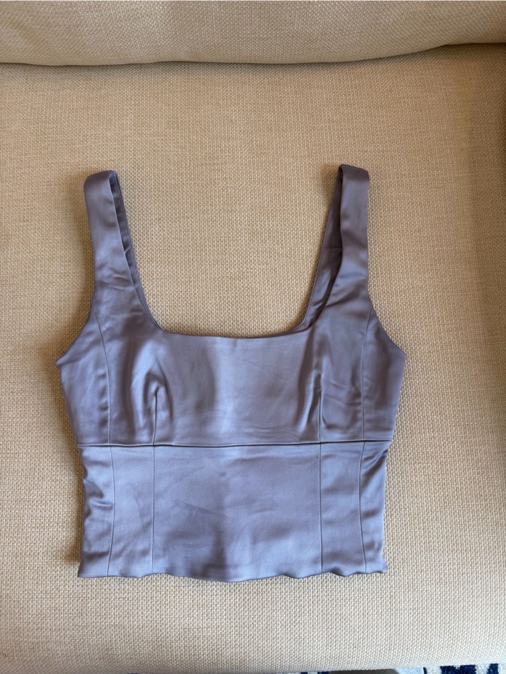 Silvery-purple Aritzia bustier top
